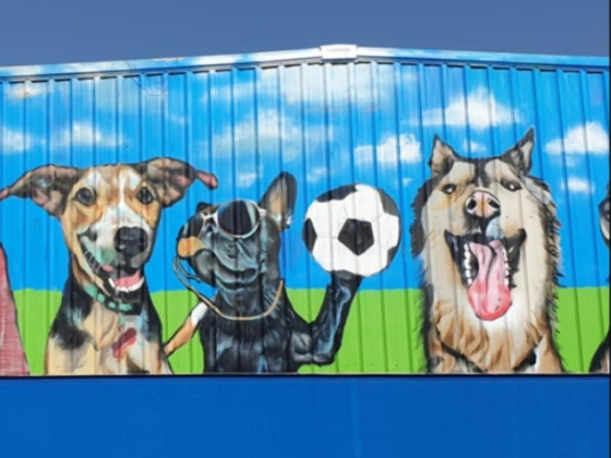 Dog House Pets Boarding
