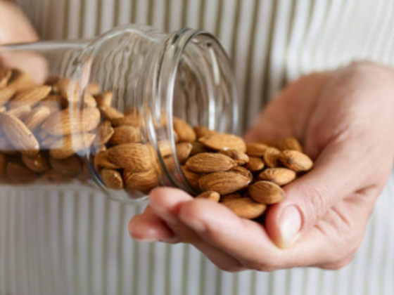 Alquz Roaster & Nuts