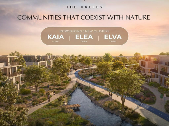 Eva Real Estate