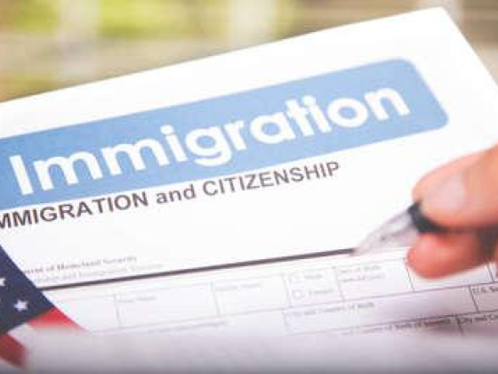 Brilliant Solutions Documents Services