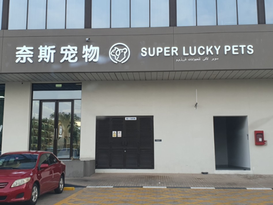 Super Lucky Pets