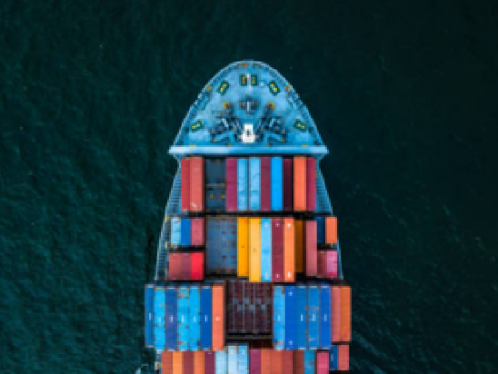 Pelican Partners