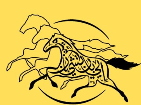 Stallion Partners