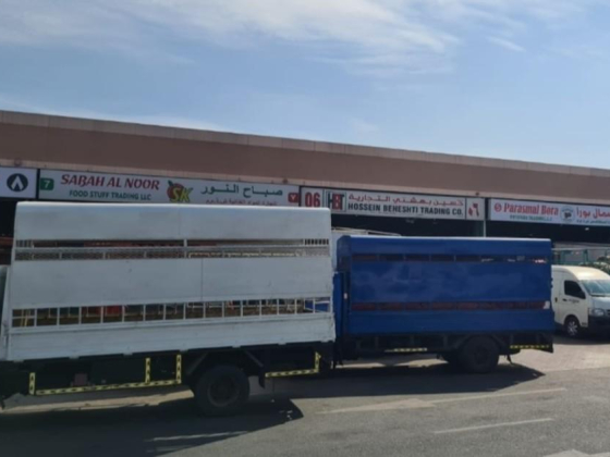 Sabah Al Noor Food Stuff Trading