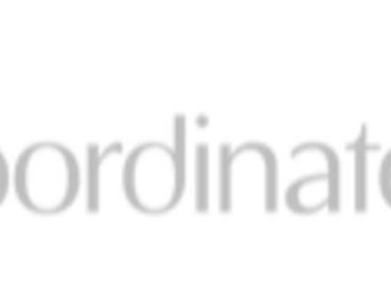 Coordinates Consulting Fz