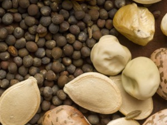 Armanaz Foodstuff Trading