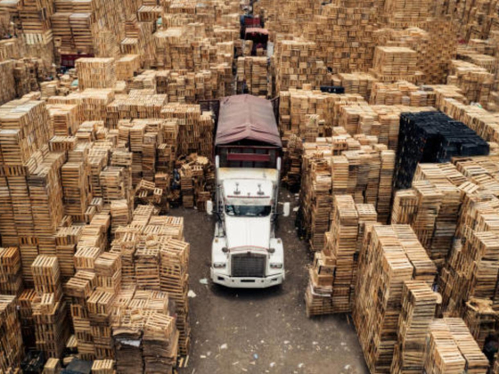 Holz Timber Trading