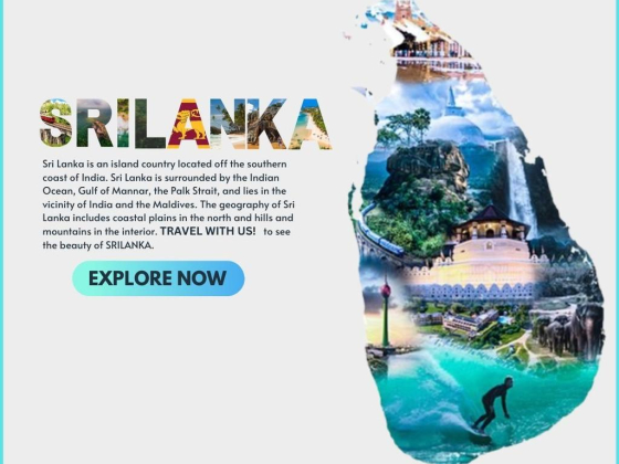 Premier Travel & Tourism