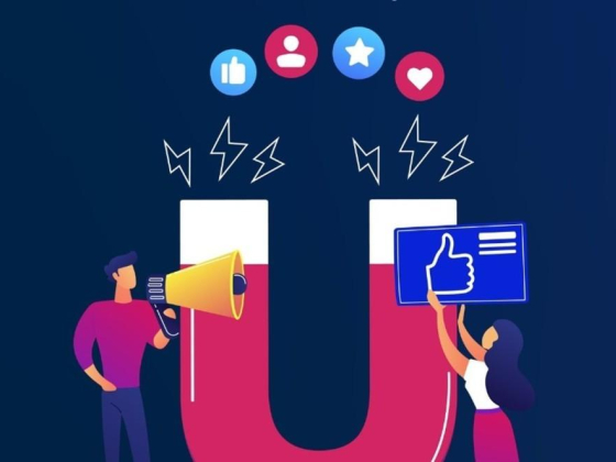 Creativexperts Network Consultancies