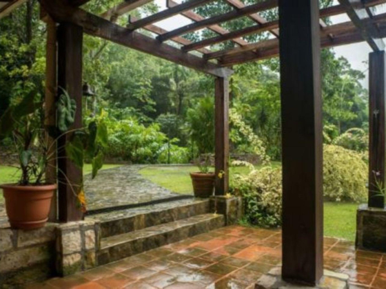 Rainbird Landscape