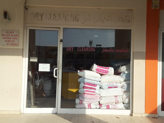 The Cleaners