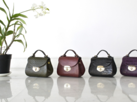 Alfan Al Raqi Bags Trading