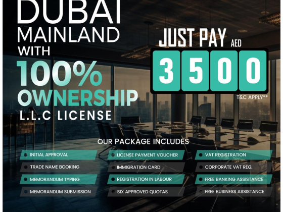 Al Zaahi Business Setup & Documents clearing