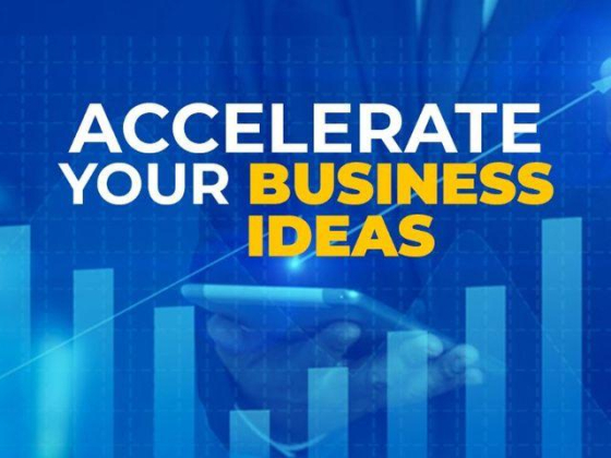Avyanco Business Setup Consultancy