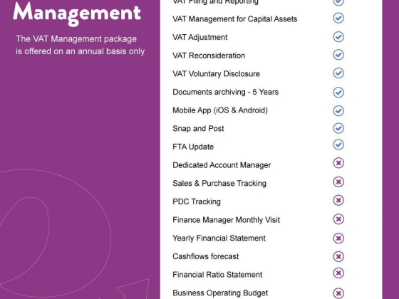 E-Accounting Smart Solutions for Smart Companies