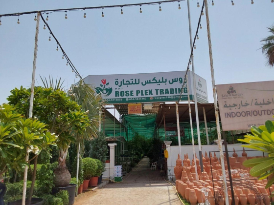 Rose Plex Trading