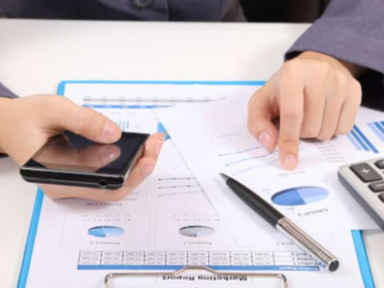 Avs Lewis & Pecker Auditing