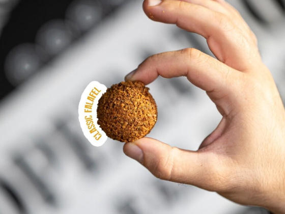 Operation Falafel