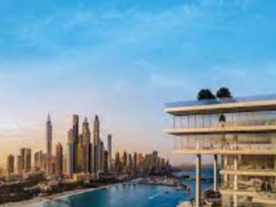 Vao Realty Real Estate