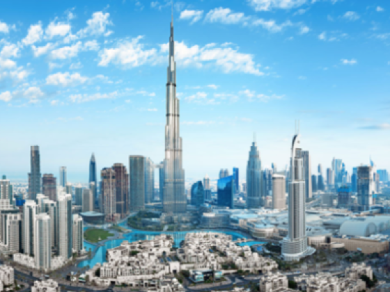 Vao Realty Real Estate