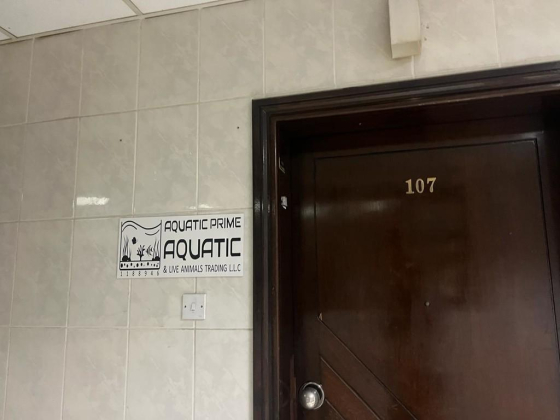 Aquatic Prime Aquatic & Live Animals Trading