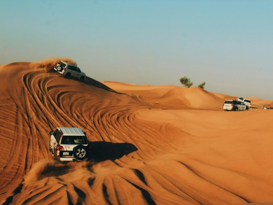 You Can Go Anywhere In Bound Tour Operator