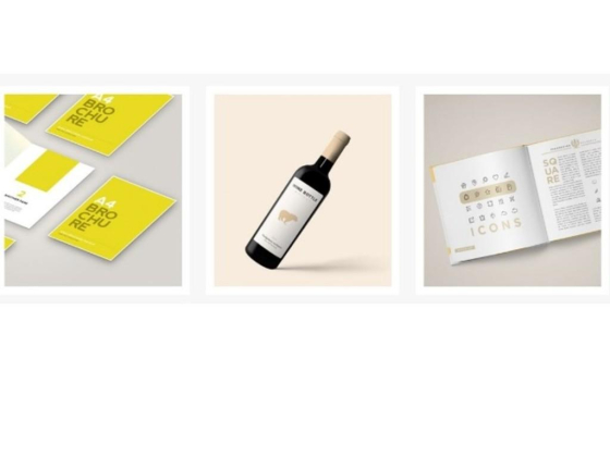 Creative Digital Documents Copying Services