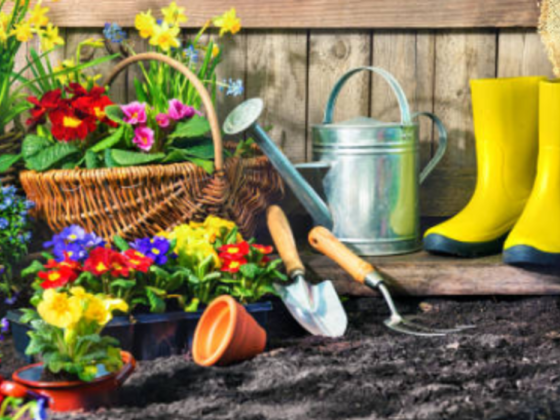 Western Home Garden Equipment Trading