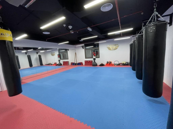 Midtown Martial Arts Club