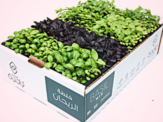 Badia Farms
