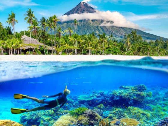 Cebu Pacific ​
