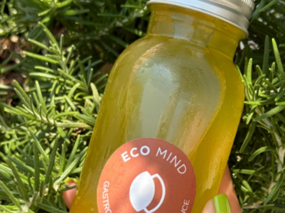 Eco Mind
