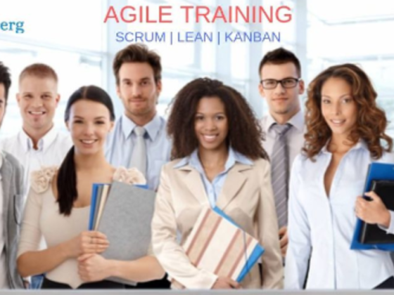 Knowledgeberg Professional & Management Development Training