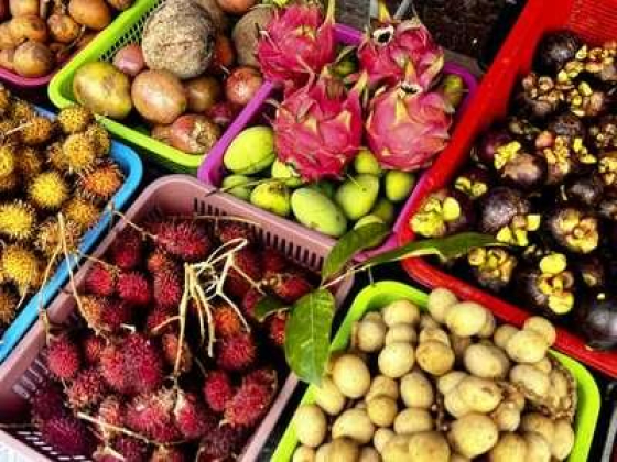 Modern Farm Vegetables & Fruits Trading