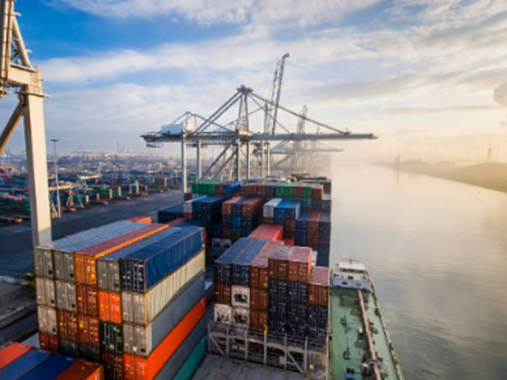 Blueline Shipping & Cargo