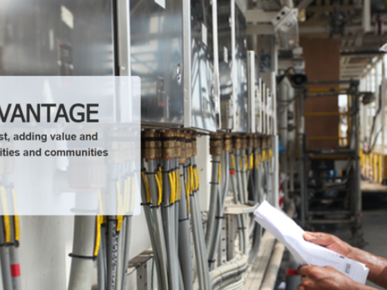 Vertis Lead Technical Services