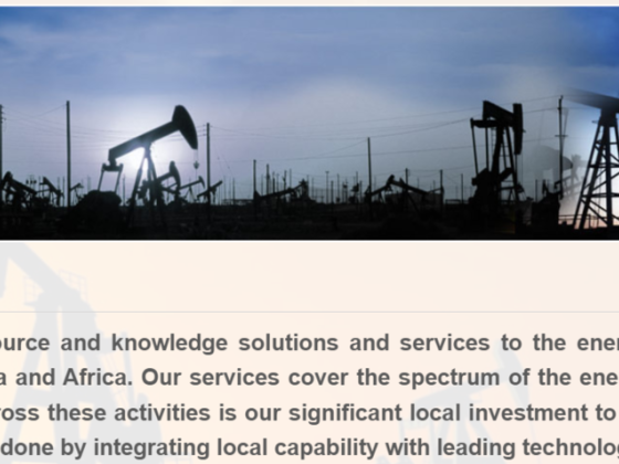 Vertis Lead Technical Services