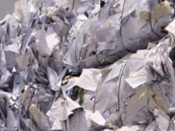 Pinnacle Star Paper Trading