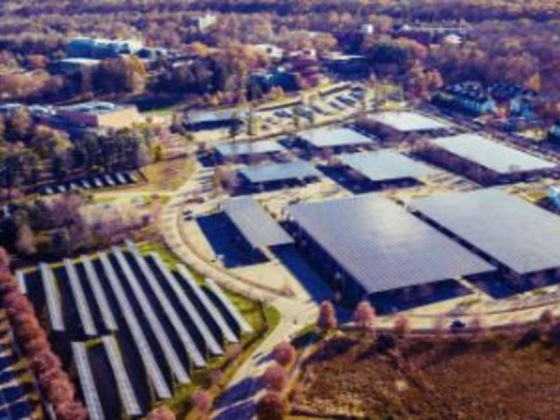 Vitol Solar