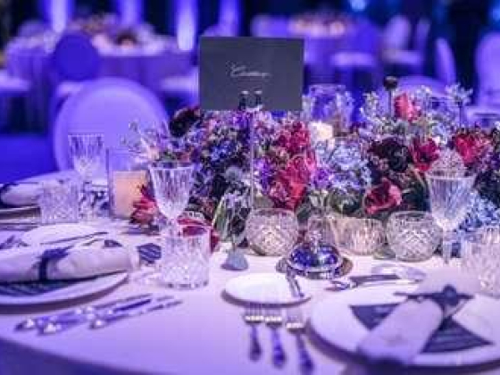 Crush Agency Events & Exhibitions