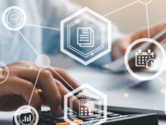 The One Accountant Services