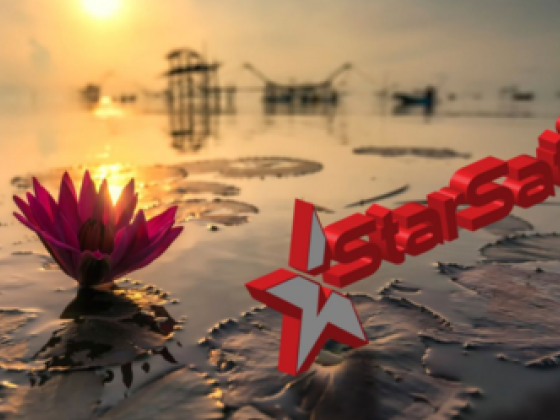 Star Sat Trading