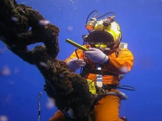 Nereus Subsea L L C