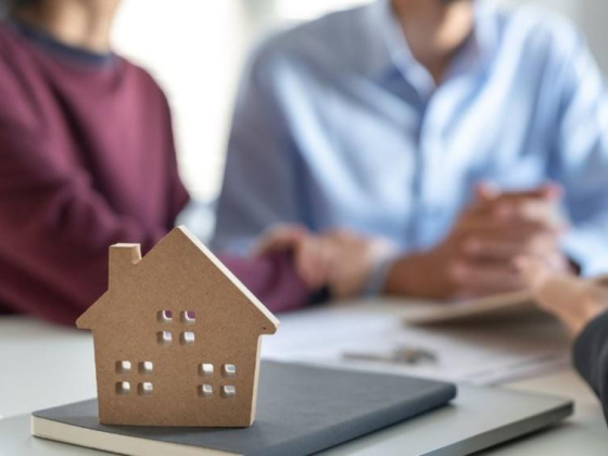 Horizon International Real Estate Management