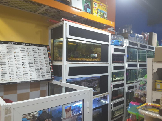 Pet Corner Trading