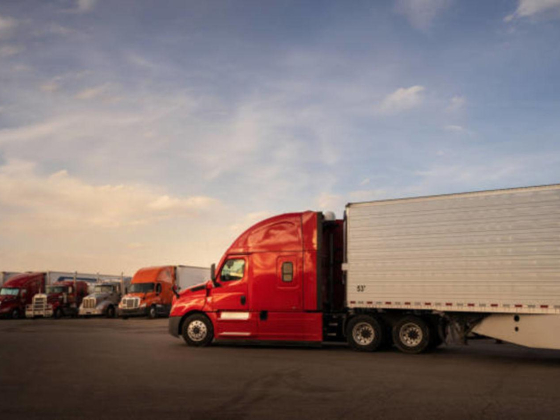 Reyam Cargo Transport By Heavy Trucks