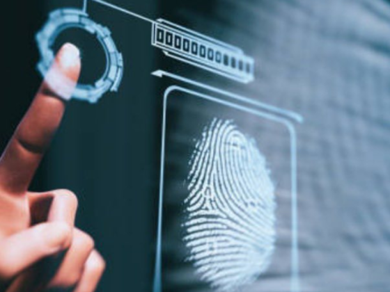 Equinox Cyber Technologies