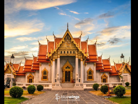 Blue Wings Travel & Tourism
