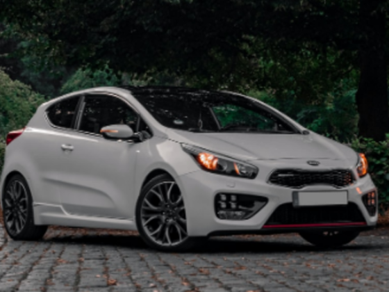 Motorsport Car Rental
