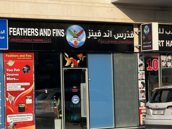 Feathers And Fins Aquatic Animals Trading